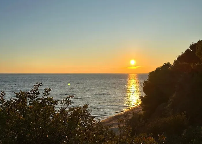 House Garli Псакудия