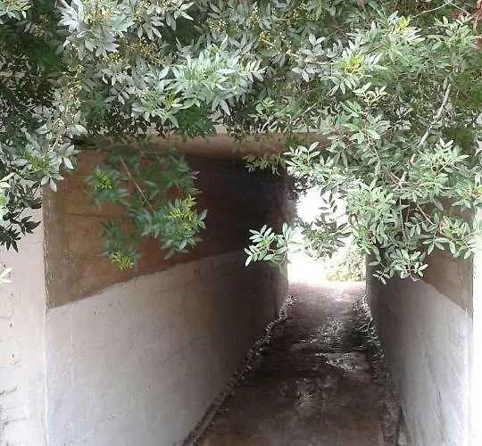House Garli *