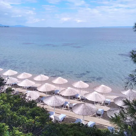 House Garli プサコウディア