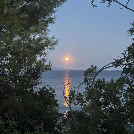 House Garli アパート プサコウディア