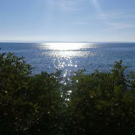 House Garli アパート